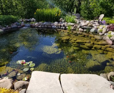 koi pond